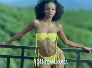 Niagollden