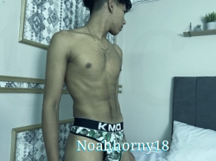Noahhorny18