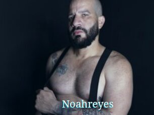 Noahreyes