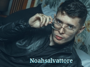 Noahsalvattore