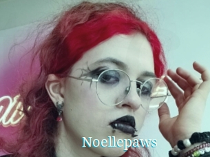 Noellepaws