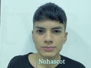 Nohascot