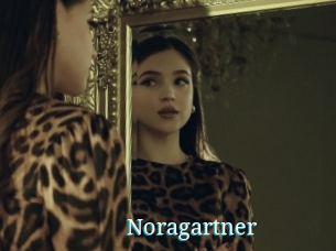 Noragartner