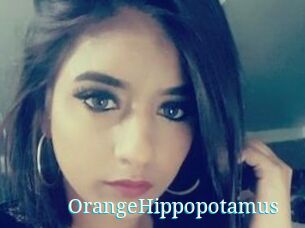 OrangeHippopotamus