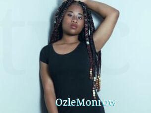 OzleMonrow