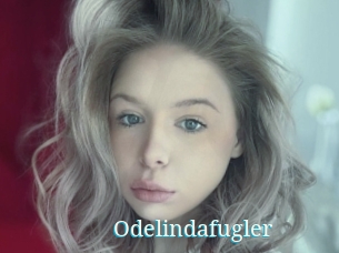 Odelindafugler