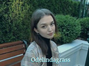 Odelindagrass
