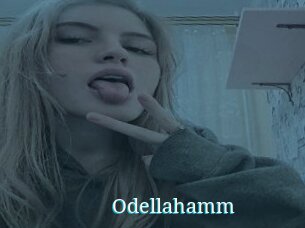 Odellahamm