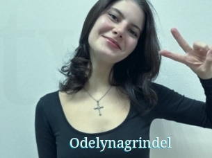 Odelynagrindel