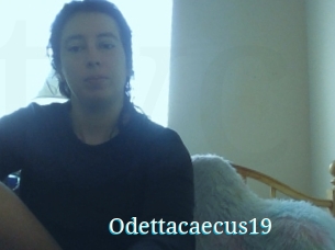 Odettacaecus19