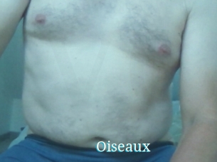 Oiseaux