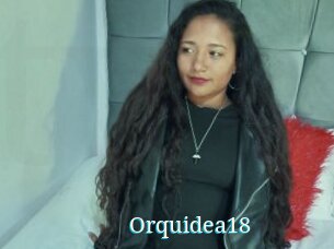 Orquidea18
