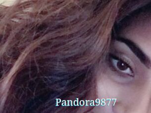 Pandora9877