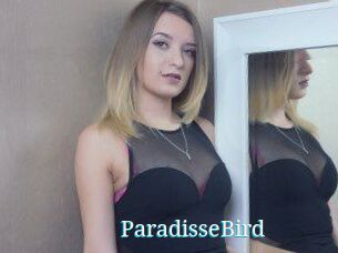ParadisseBird