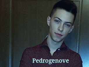 Pedrogenove