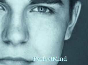PerfectMind