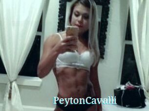 Peyton_Cavalli
