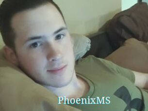 PhoenixMS