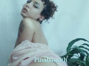 Pinabauchh