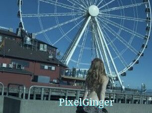 PixelGinger