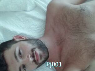 Pj001