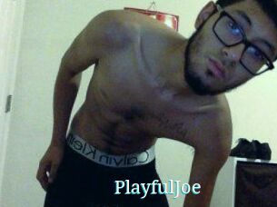 PlayfulJoe