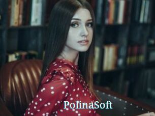 PolinaSoft
