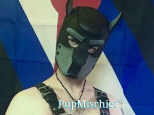 PupMischief