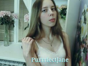 PurrrfectJane