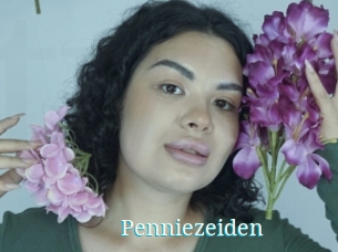 Penniezeiden
