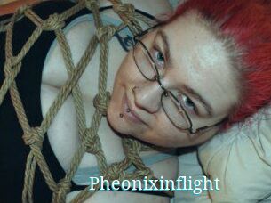 Pheonixinflight