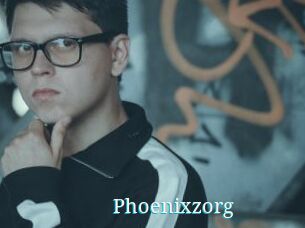 Phoenixzorg