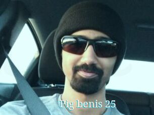 Pig_benis_25