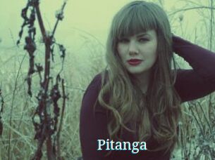 Pitanga