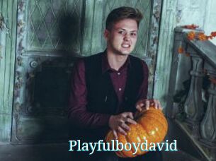 Playfulboydavid