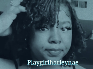 Playgirlharleynae