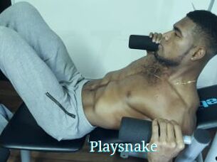 Playsnake