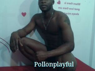Pollonplayful