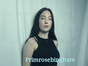 Primrosebingham