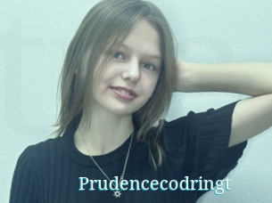 Prudencecodringt
