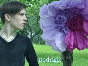 Rodrigie