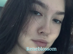 Reneblossom