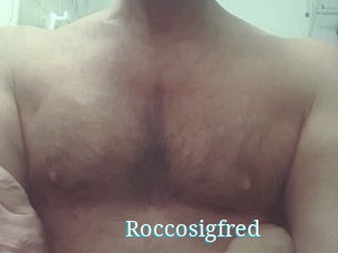Roccosigfred