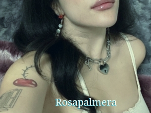Rosapalmera