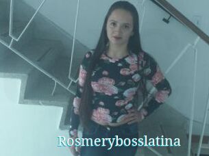 Rosmerybosslatina