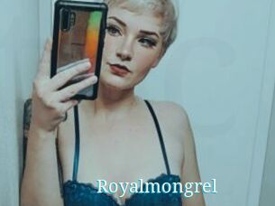 Royalmongrel