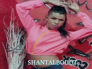 SHANTALBODOT