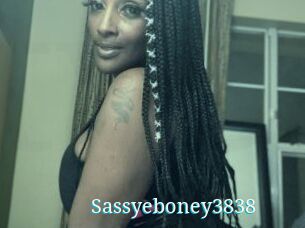 Sassyeboney3838