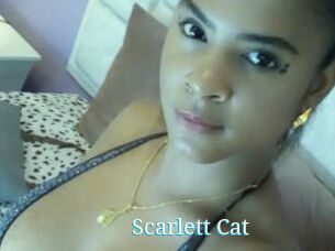 Scarlett_Cat