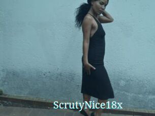 ScrutyNice18x